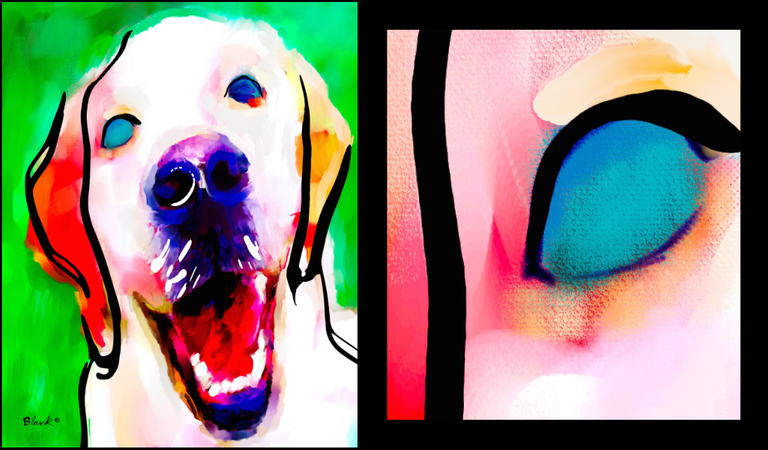 dogs-03-long-face.png