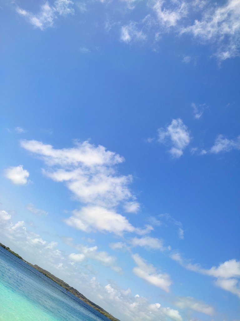 IMG_20230320_010452.jpg