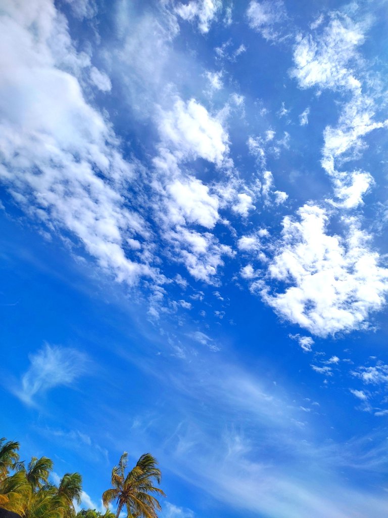 IMG_20230615_222621.jpg