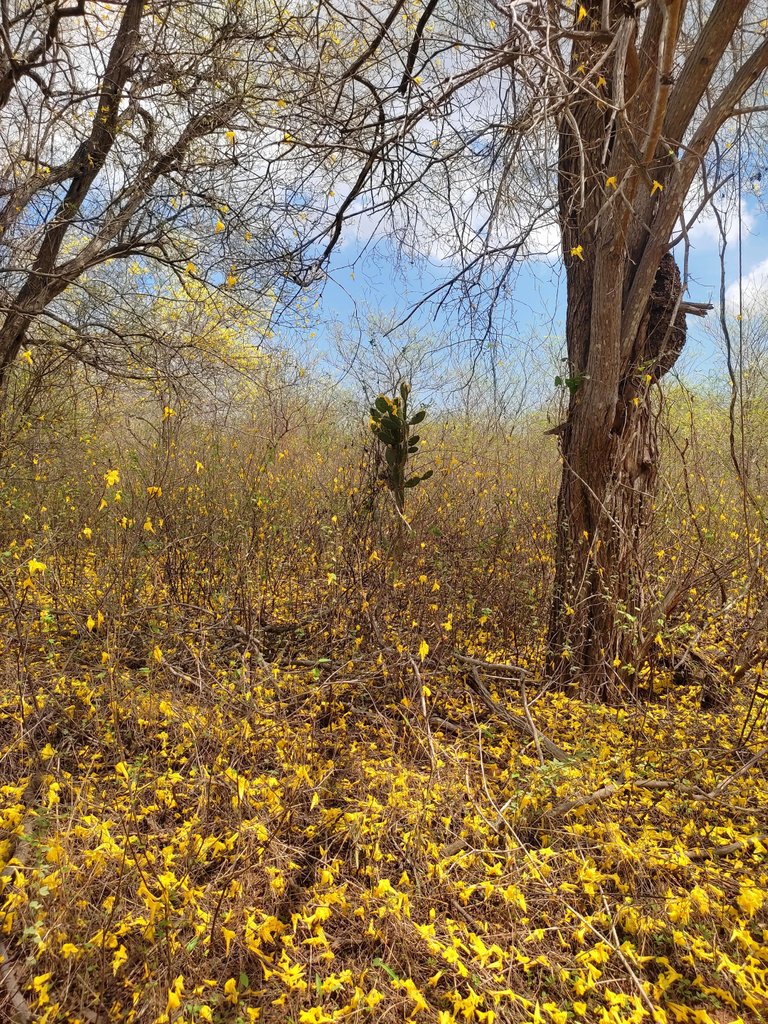 IMG_20230518_081405.jpg