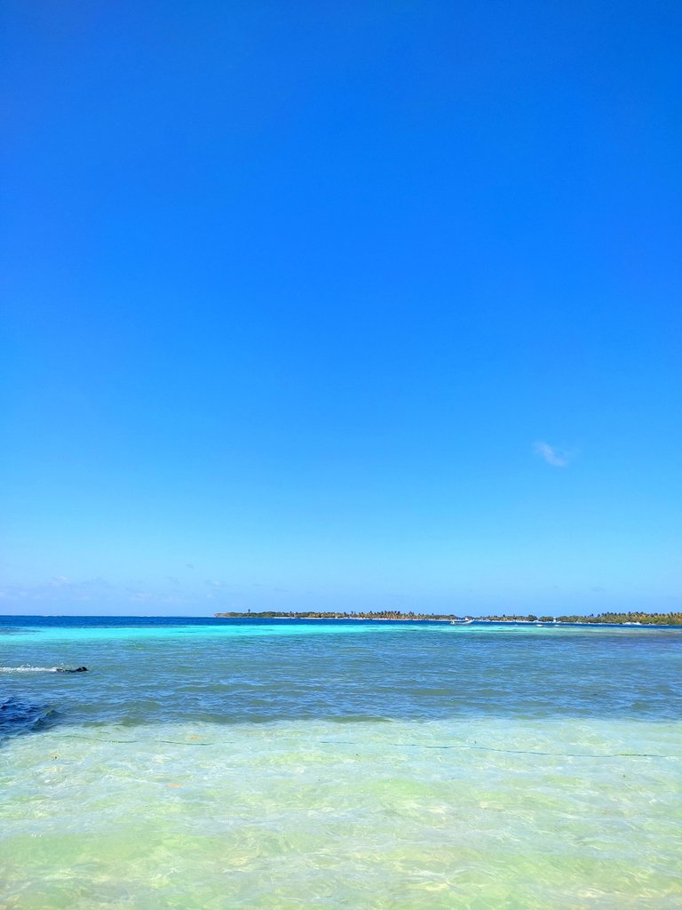 IMG_20230320_010737.jpg