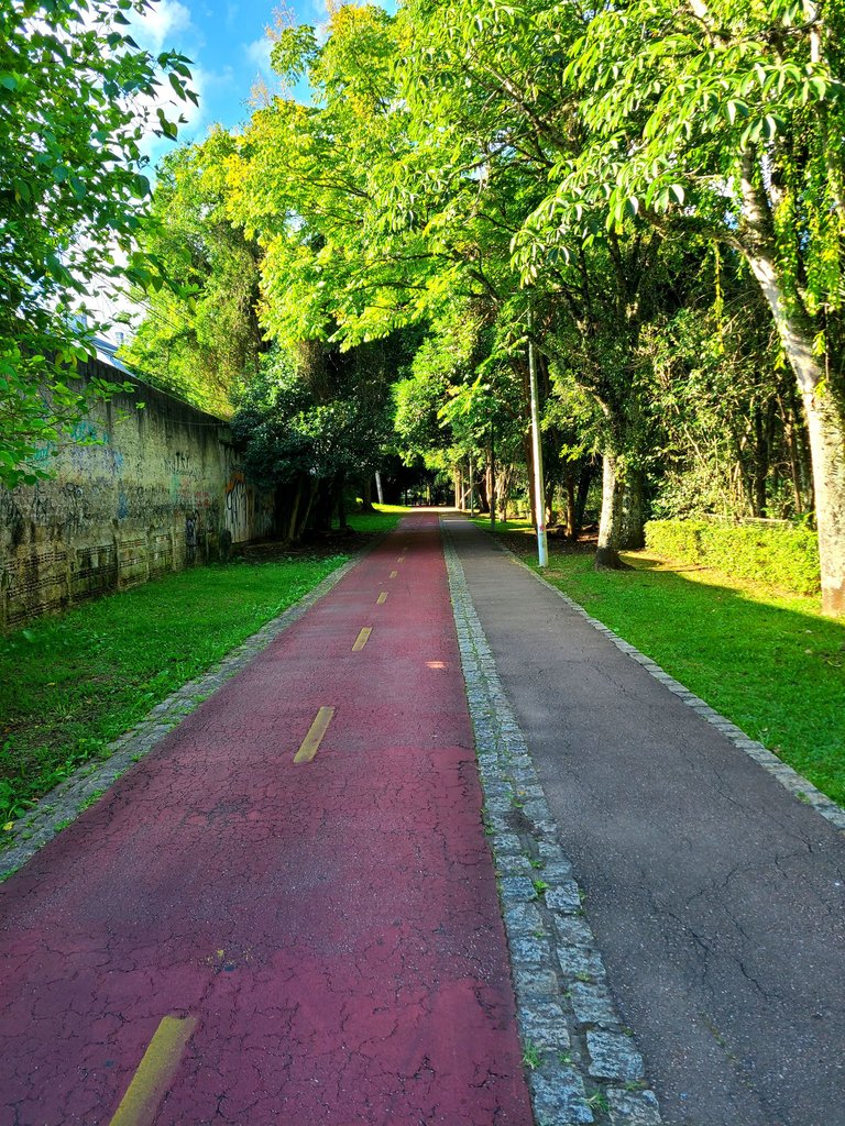 20250304_165912.jpg