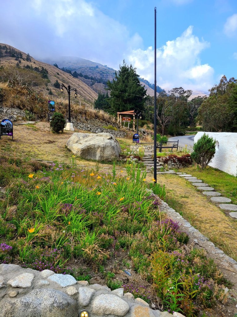 20240329_165155.jpg