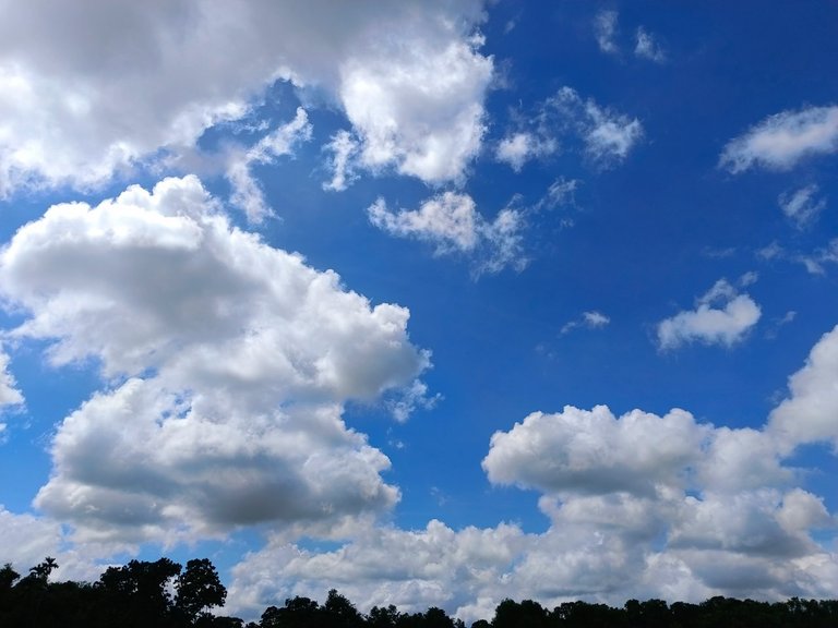 Amazing sky