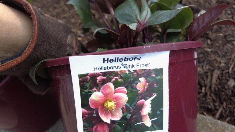 gardencentre6.jpg