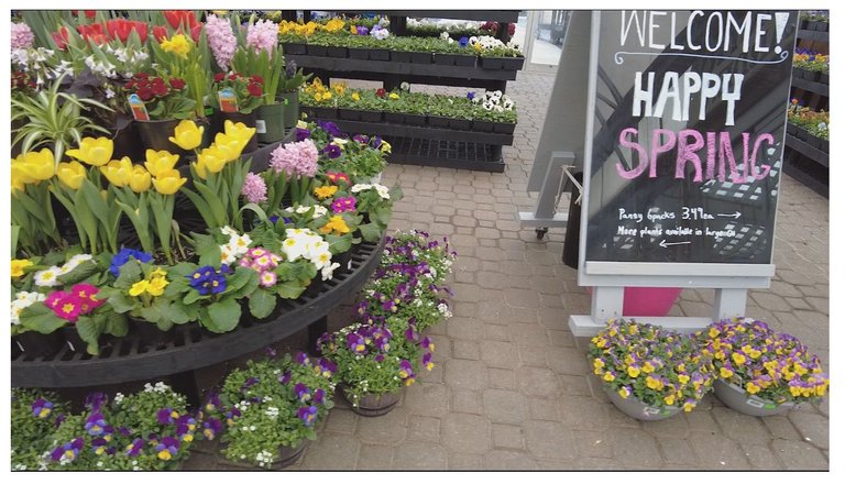 gardencentre7.jpg