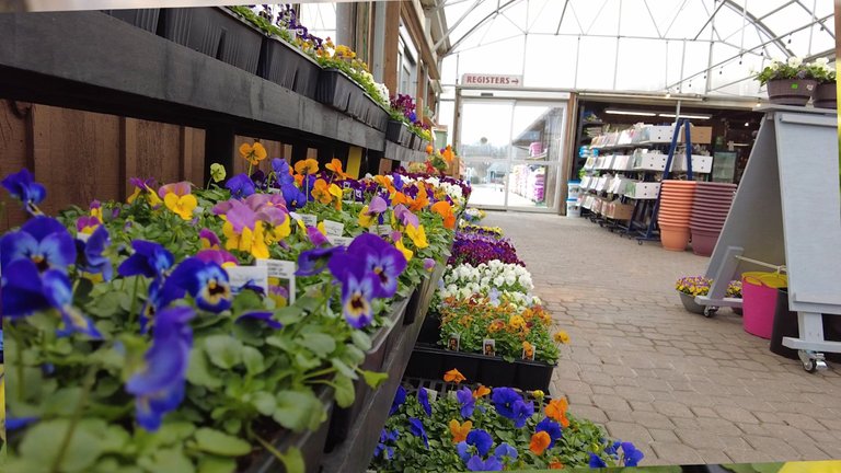 gardencentre2.jpg