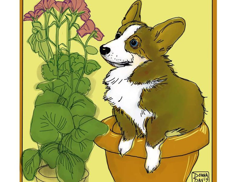 plantcorgiSMALL4THUMB.jpg