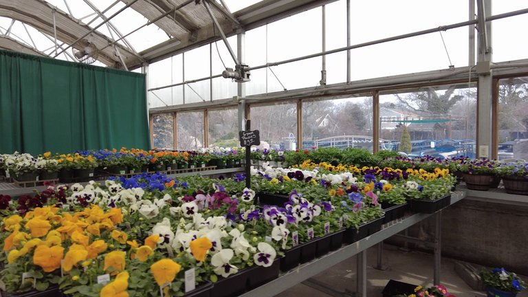 gardencentre3.jpg