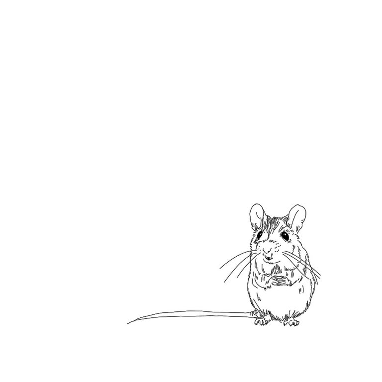 mouseteapot1sketch1small.jpg