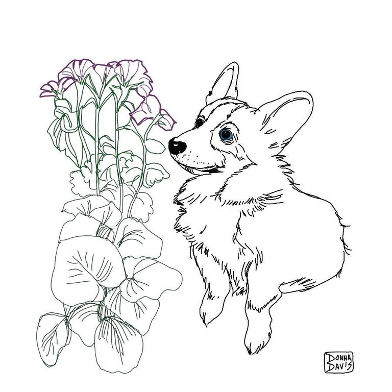 plantcorgiSMALL1.jpg