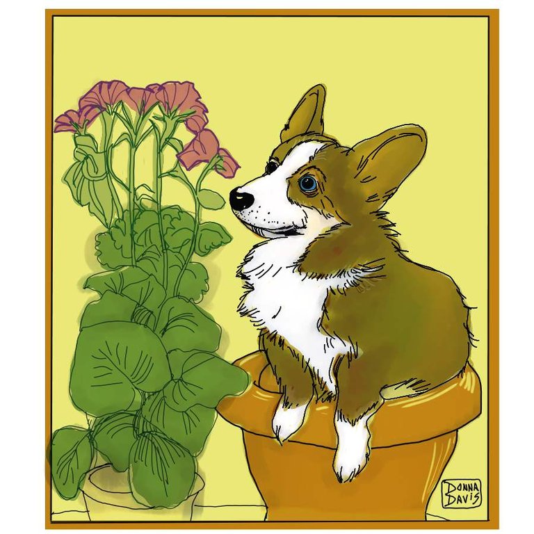 plantcorgiSMALL4.jpg