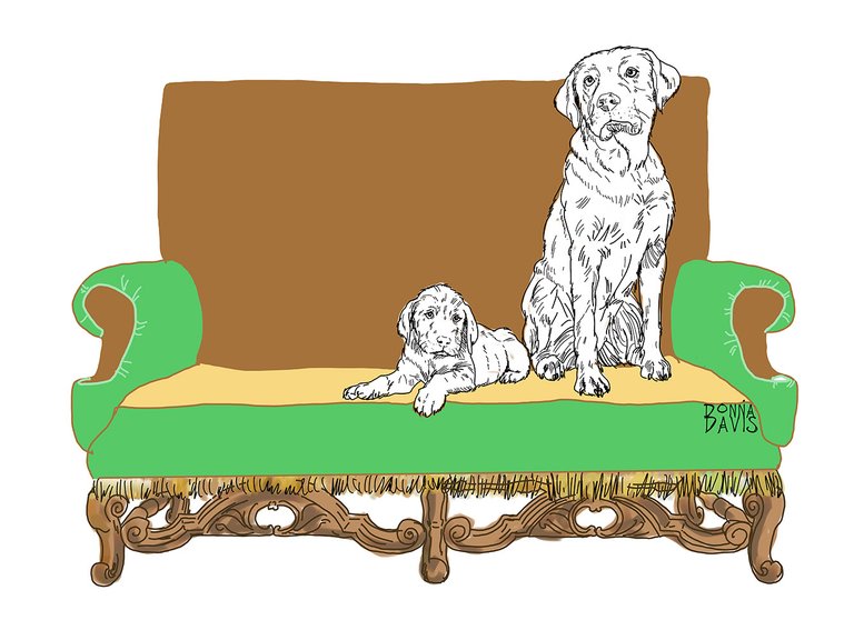 labsonchairSmall2.jpg