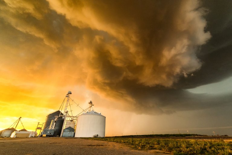 Amber Waves of Grain.jpg