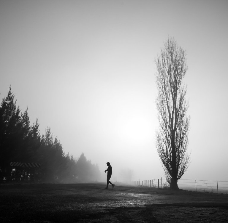 mysterious-greyscale-shot-male-walking-foggy-scary-field.jpg