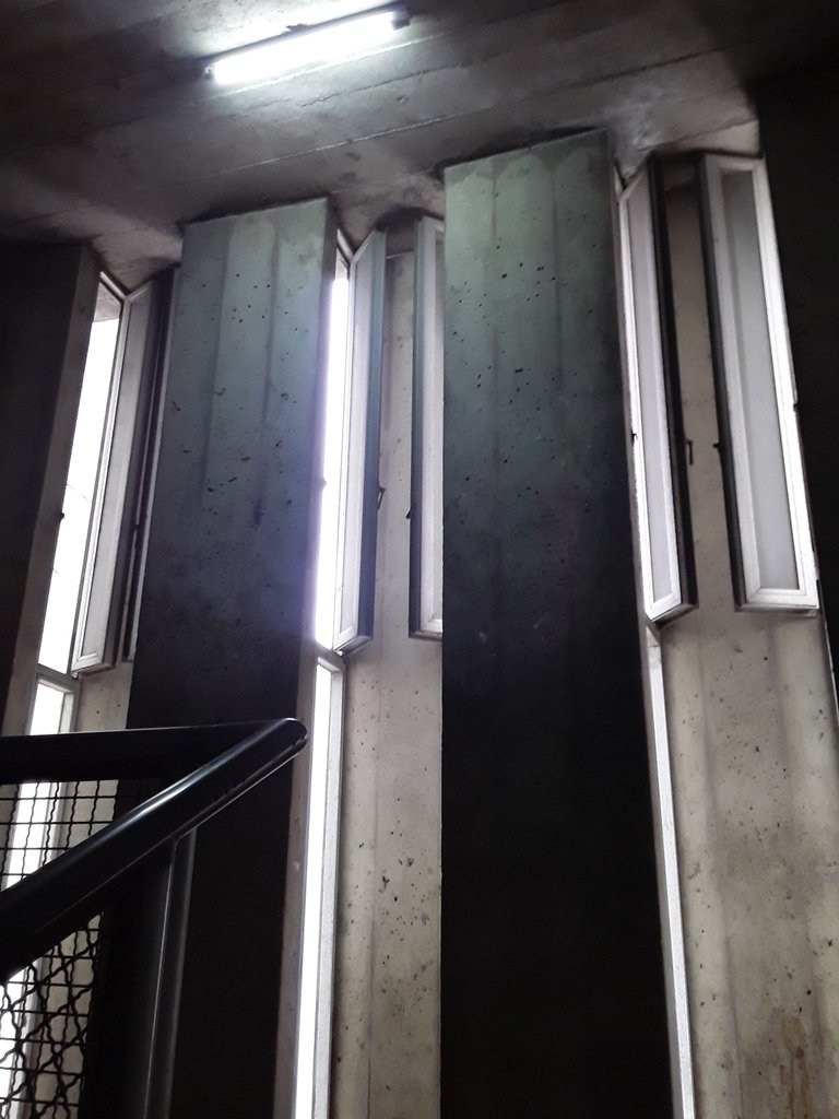20250719_172145.jpg