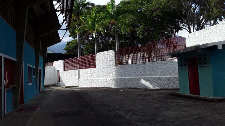 20250608_161559.jpg