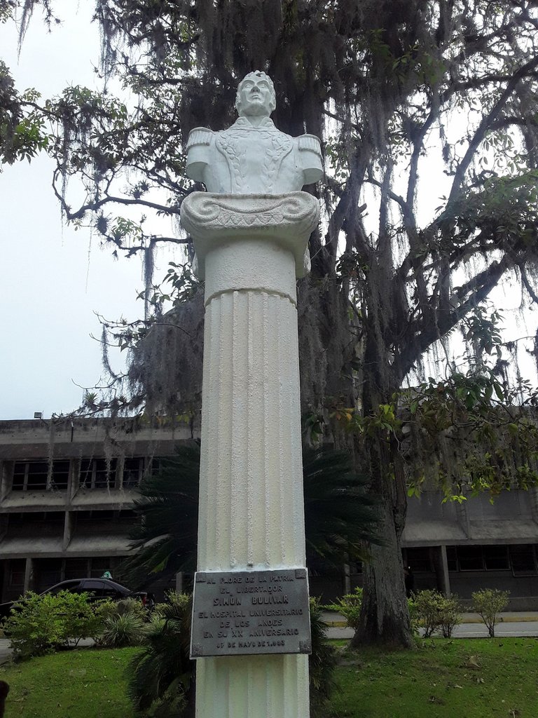 20250719_170413.jpg