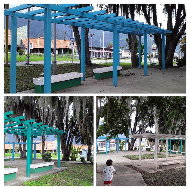 20250511_164026-COLLAGE (1).jpg