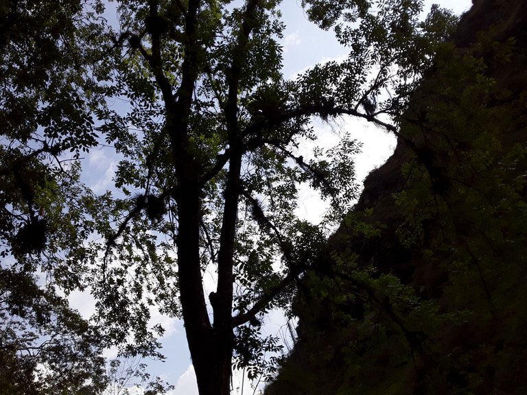 20250302_151626.jpg