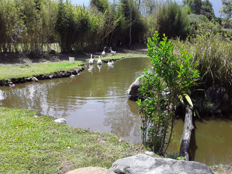 20240831_112215.jpg