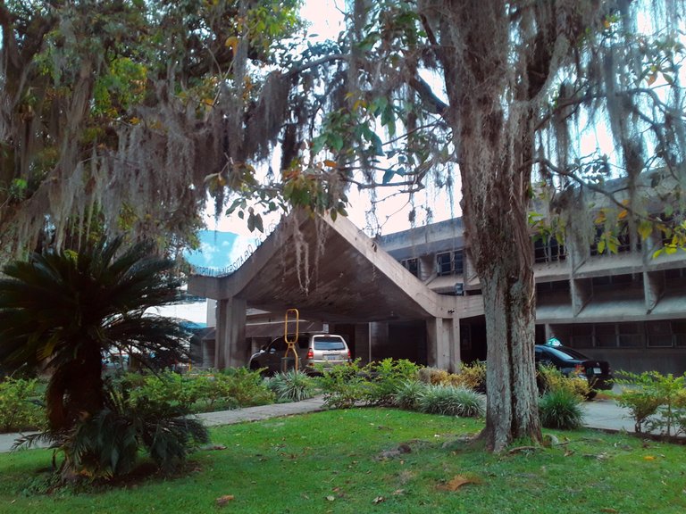20250719_170502-EDIT.jpg
