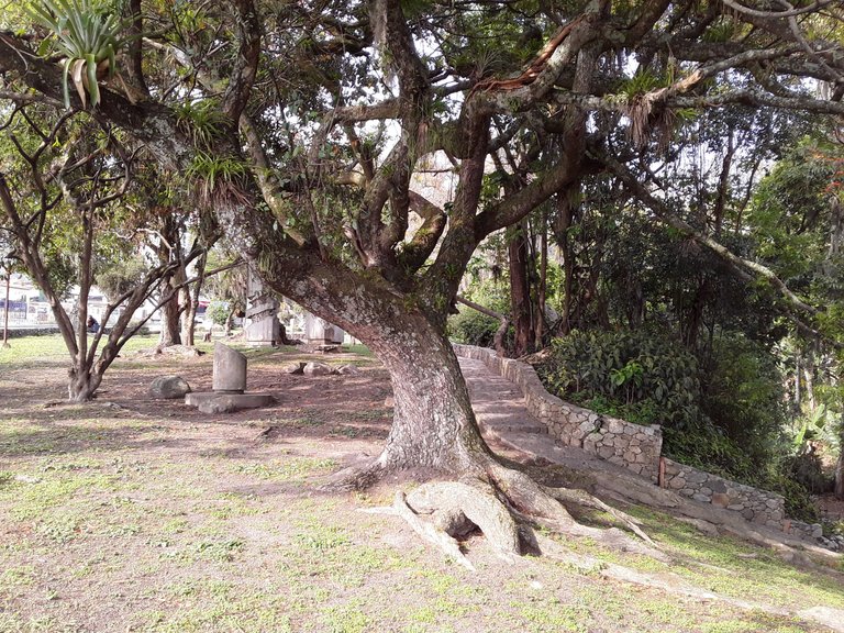 20250322_163840.jpg
