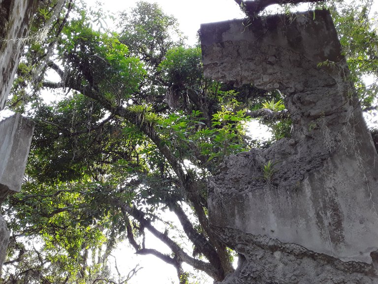 20250322_170427.jpg
