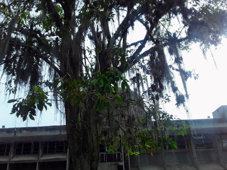 20250719_170438.jpg