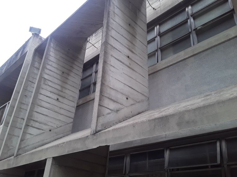 20250719_170106.jpg