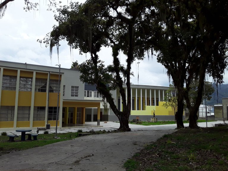 20250407_115726.jpg