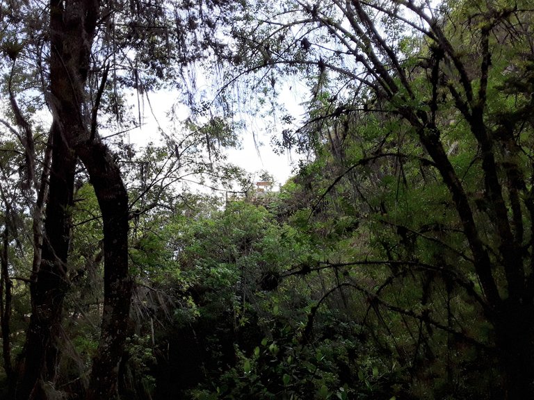 20250302_152105.jpg
