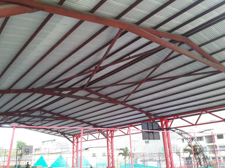 20250504_155514.jpg