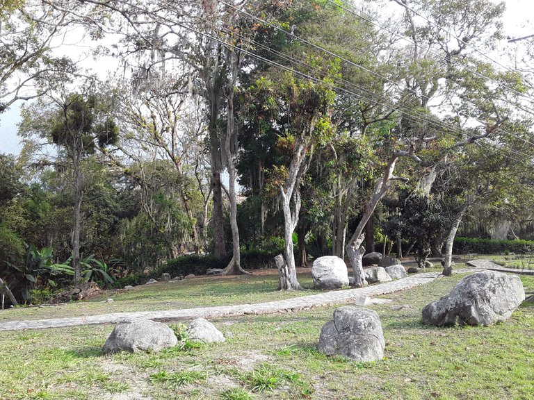 20250322_170012.jpg