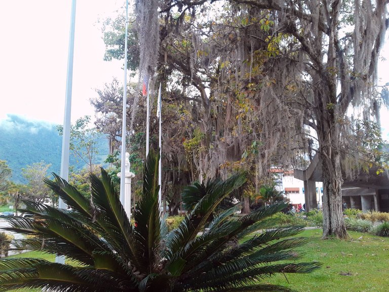 20250719_170755-EDIT.jpg