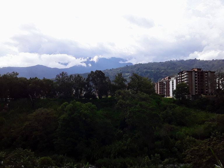20250511_164125.jpg