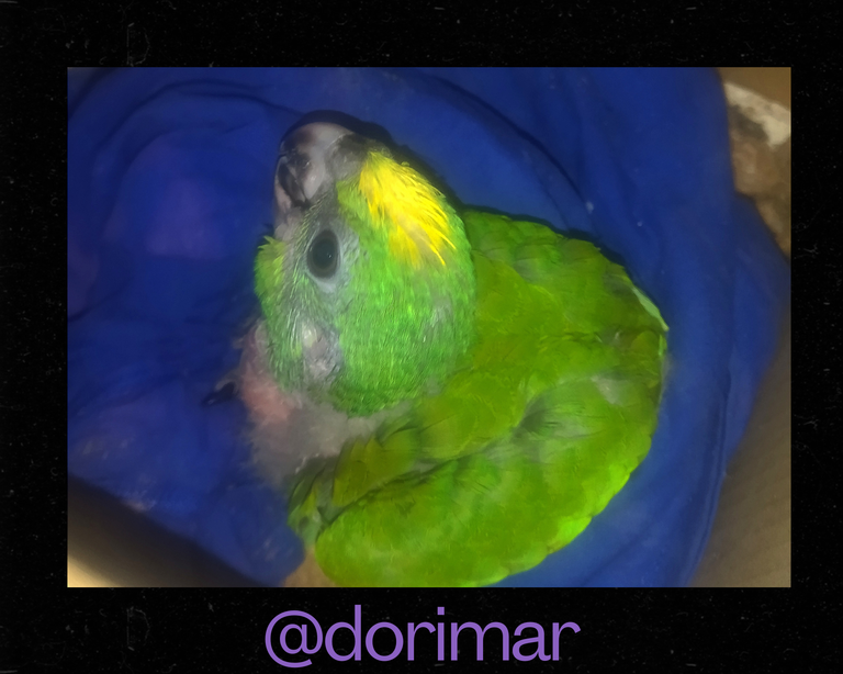 @dorimar_20250425_220207_0000.png