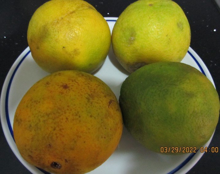 Presentación1-Post16- conchas de naranjas confitadas.jpg