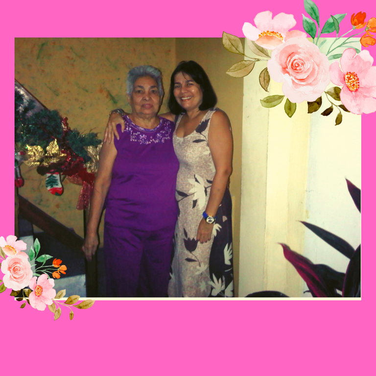 IMAG 4 Mamá y Yo casa Nav. en42014.png