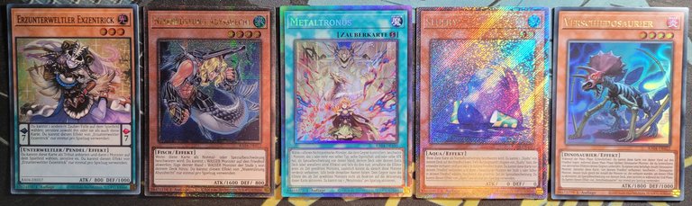 Pack of the day