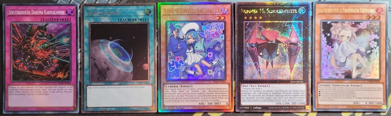 Pack of the day