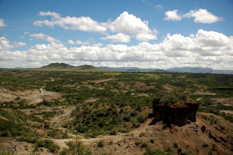 Olduvai Gorge, he said in this place the oldest human was found ...