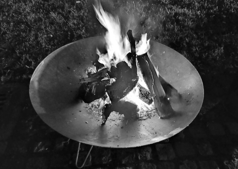1703081854697-01.jpeg