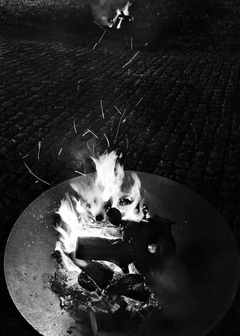 1703081592744-01.jpeg