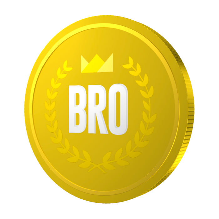 bro3.png