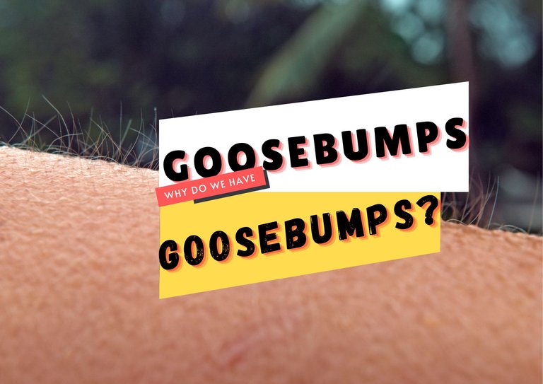 Goosebumpms.jpg