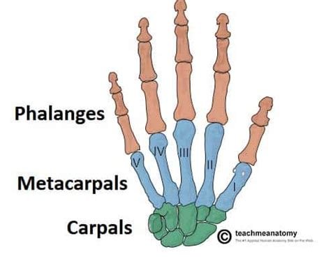 th-1896965834.jpg