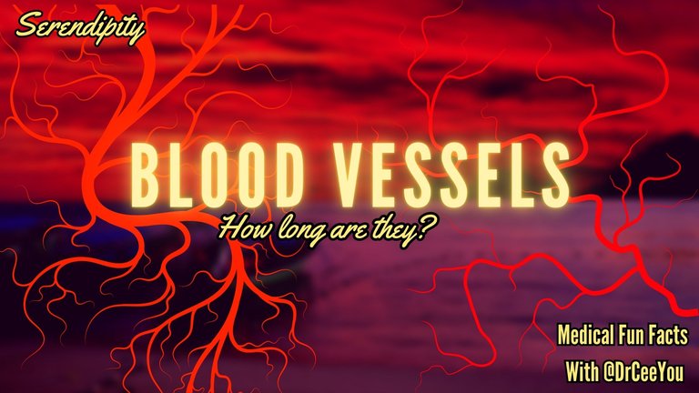 blood vessels.jpg