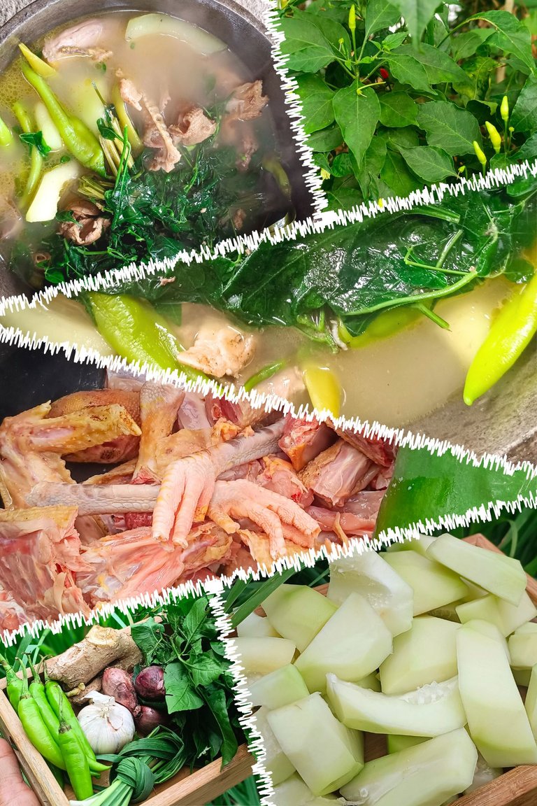 From Backyard to bowl: Cooking Tinolang Manok the Filipino Way with My Homegrown Ingredients 