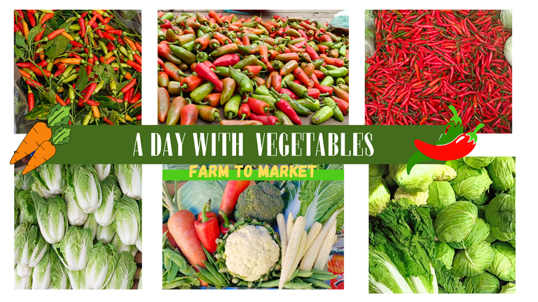 Farm to Market: A Day in Our Vegetable Life with care and pride. 